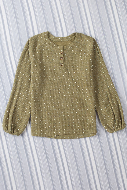 Green Swiss Dot Raglan Sleeves Knit Top